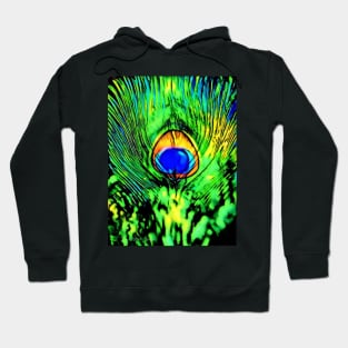 Eye Of The Peacock - Graphic 1 Hoodie